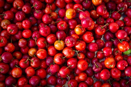 Acerolos sultys – natūralus vitamino C šaltinis ir energijos užtaisas